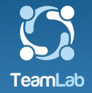 Teamlab – организация совместной деятельности (онлайн)